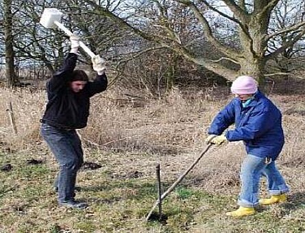 Bodenkundliche Feldarbeiten