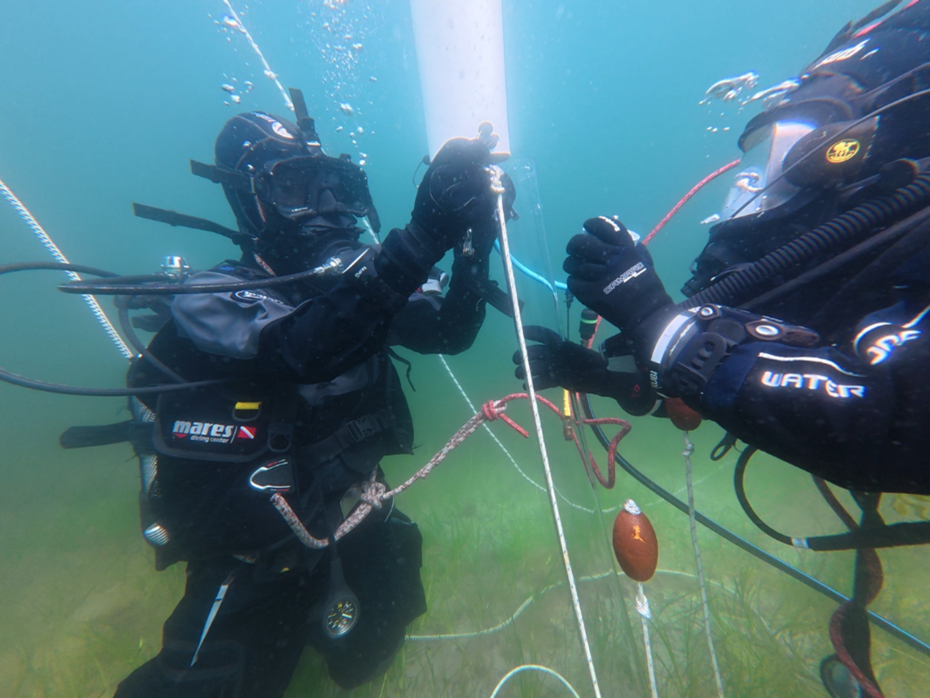 Zwei Taucherinnen unter Wasser
